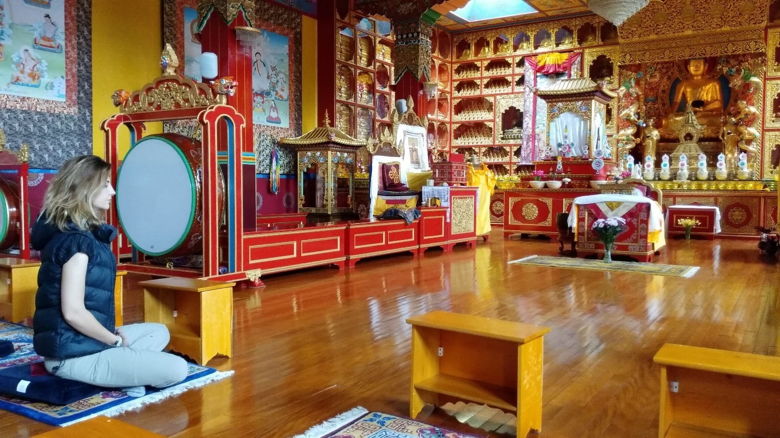 Meditating in a shrine room, Samyeling Monastery